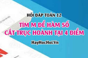 Tìm m để đồ thị hàm số cắt trục hoành tại 4 điểm? Toán lớp 12 - Hỏi đáp